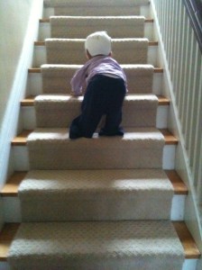 time for a baby gate